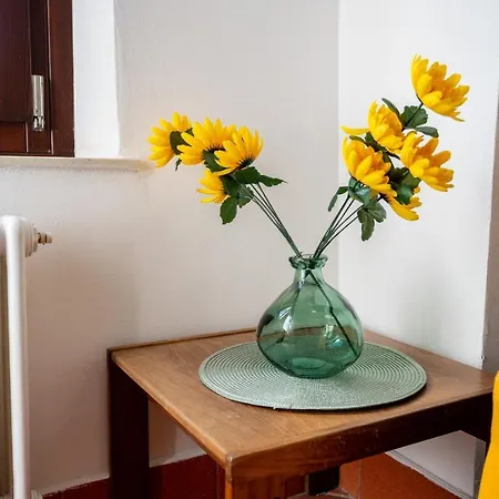 Apartment Center - Luxury In Medieval Area With Wi-fi *